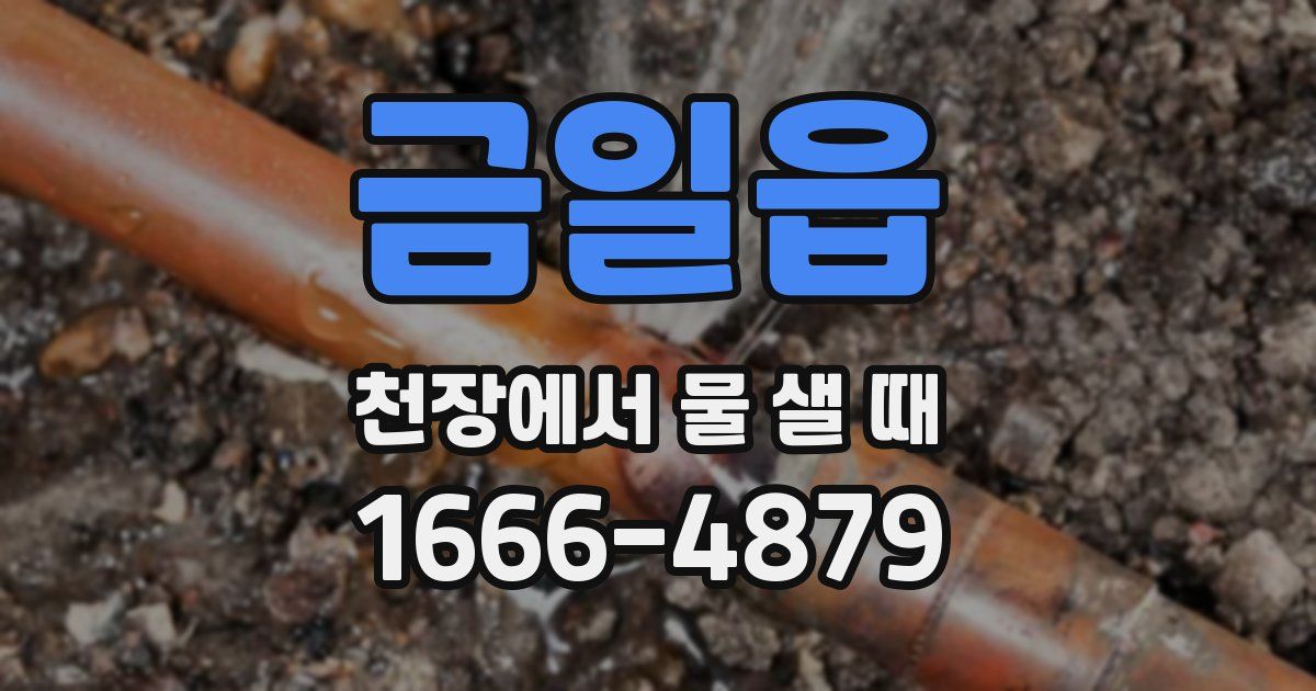 금일읍 천장에서 물 샐 때