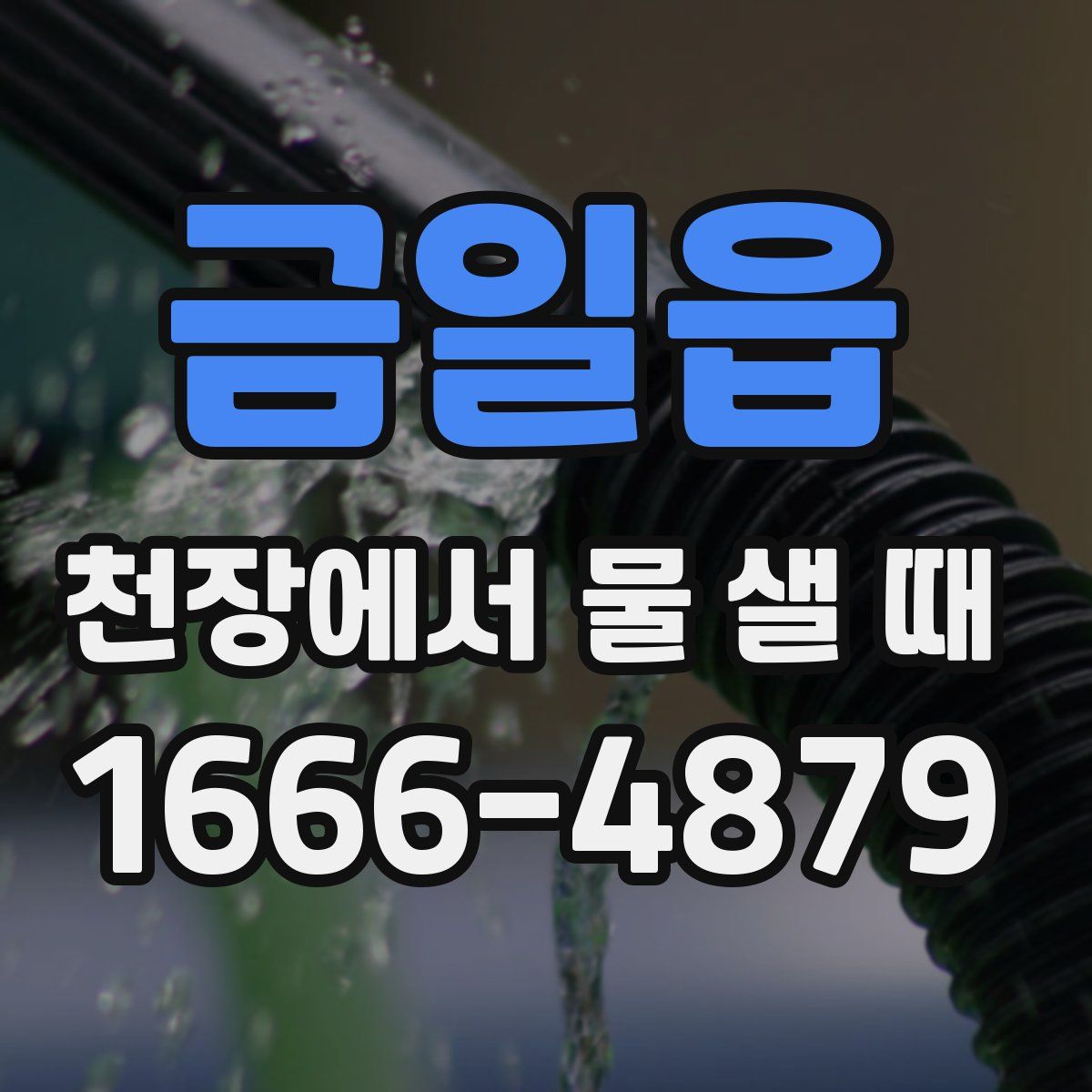 금일읍 천장에서 물 샐 때