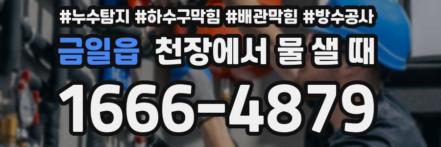금일읍 천장에서 물 샐 때