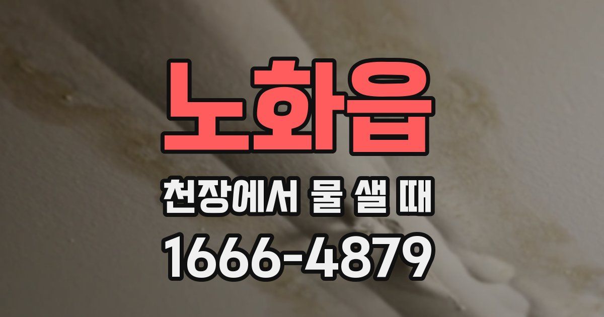 노화읍 천장에서 물 샐 때