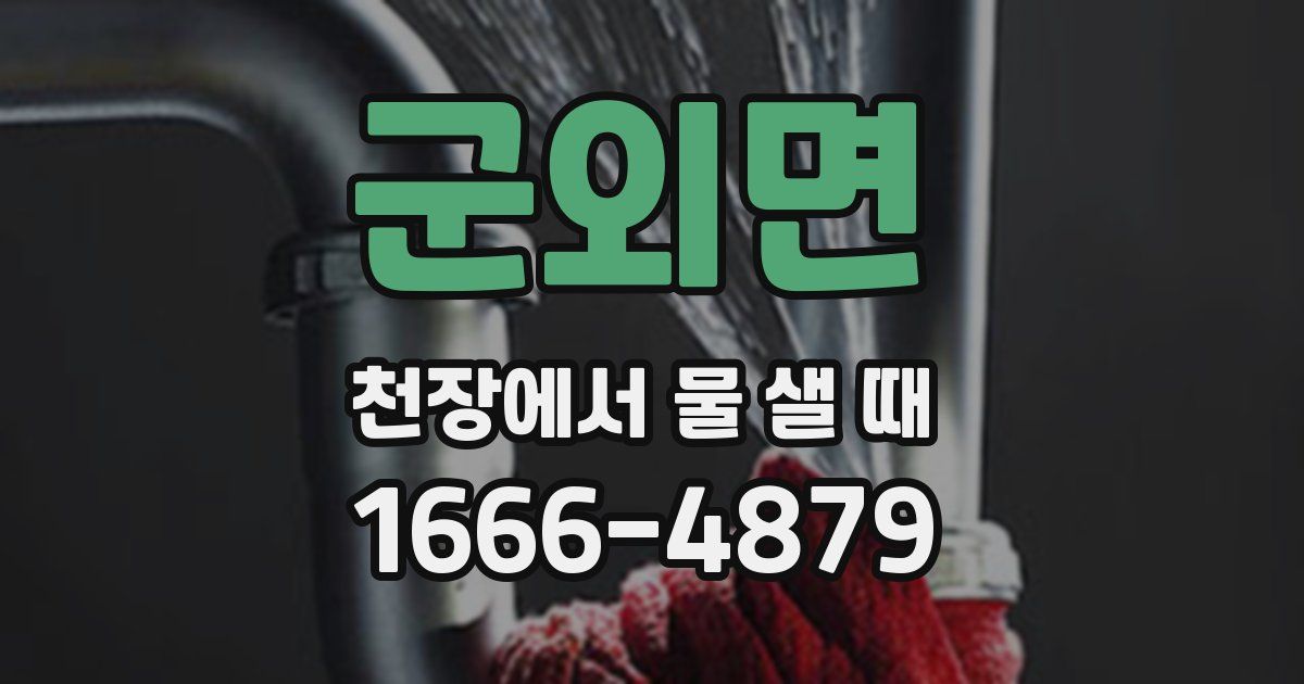 군외면 천장에서 물 샐 때