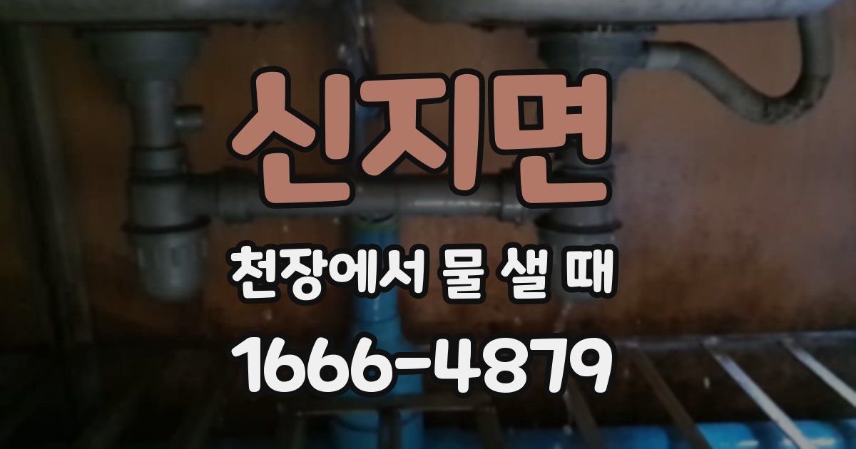신지면 천장에서 물 샐 때