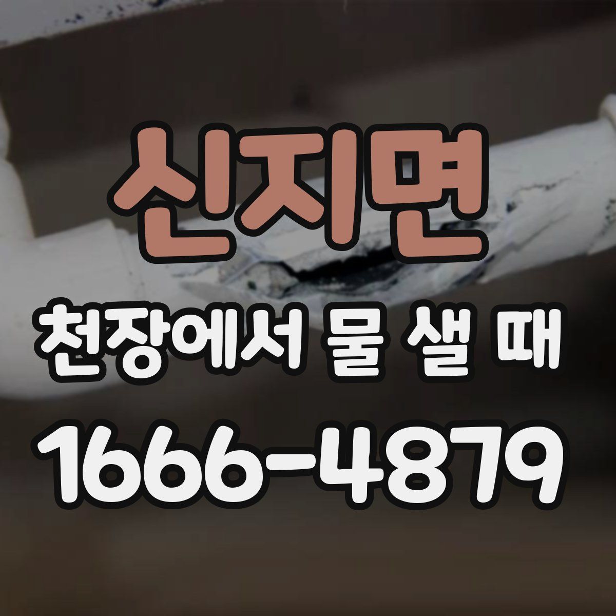 신지면 천장에서 물 샐 때