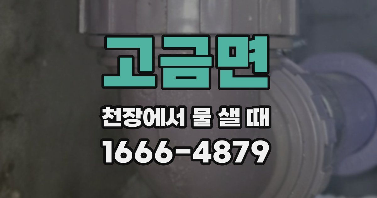 고금면 천장에서 물 샐 때