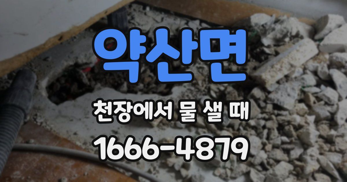 약산면 천장에서 물 샐 때