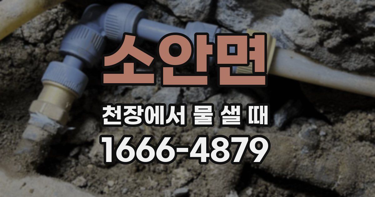 소안면 천장에서 물 샐 때