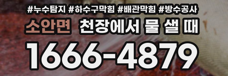 소안면 천장에서 물 샐 때
