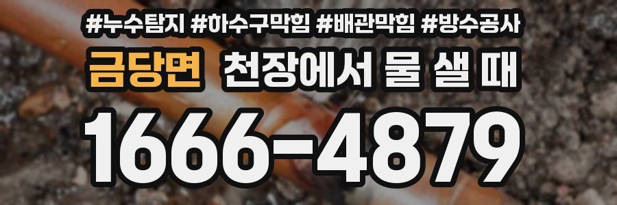 금당면 천장에서 물 샐 때