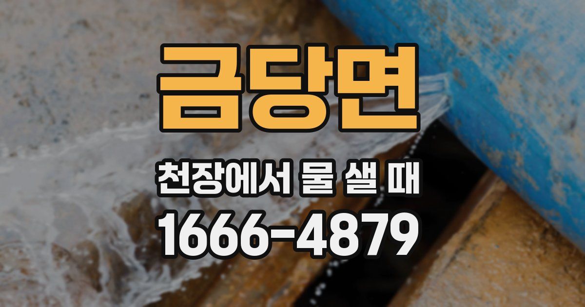 금당면 천장에서 물 샐 때