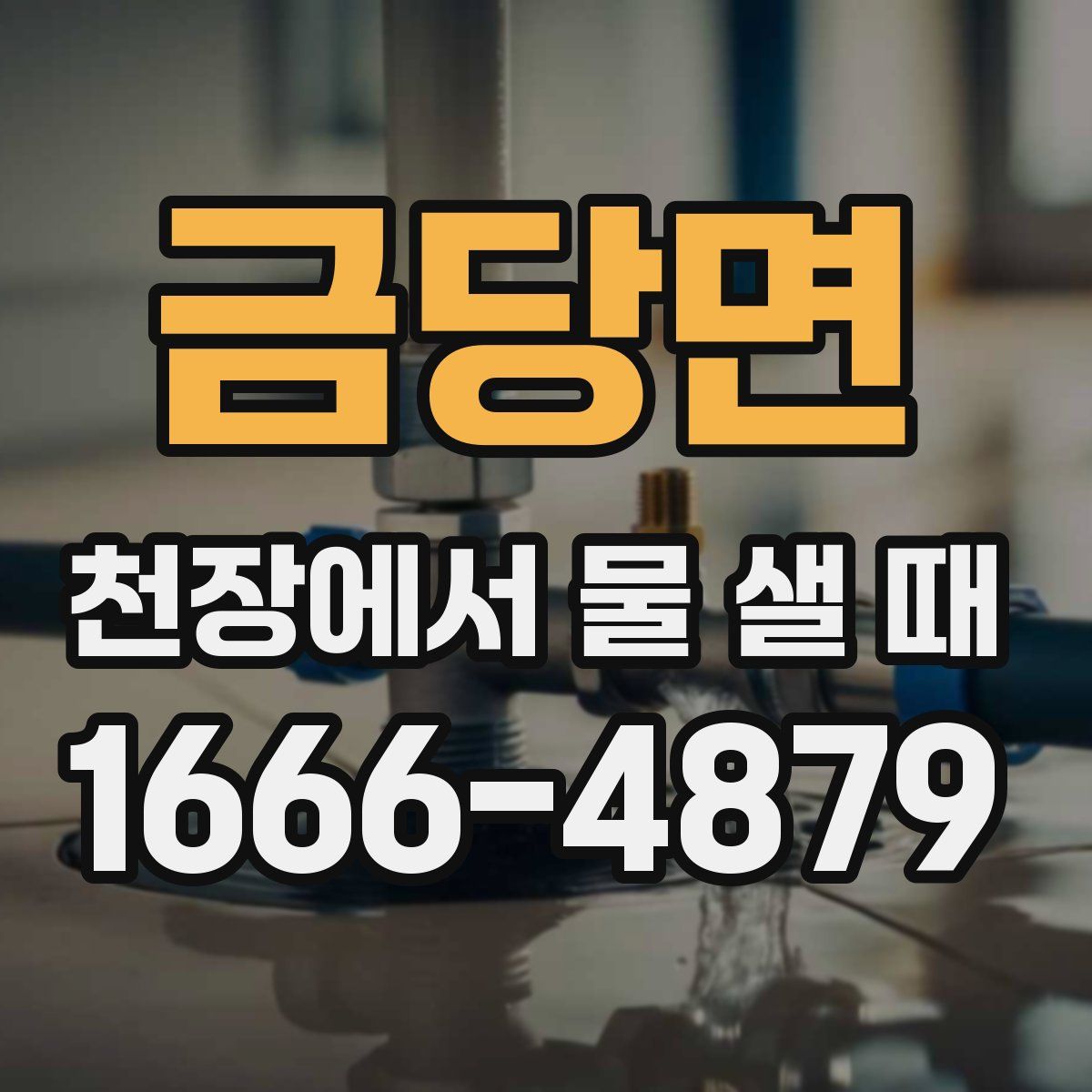 금당면 천장에서 물 샐 때