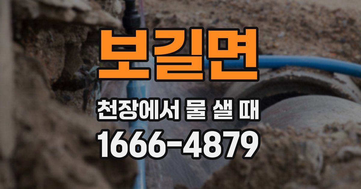 보길면 천장에서 물 샐 때