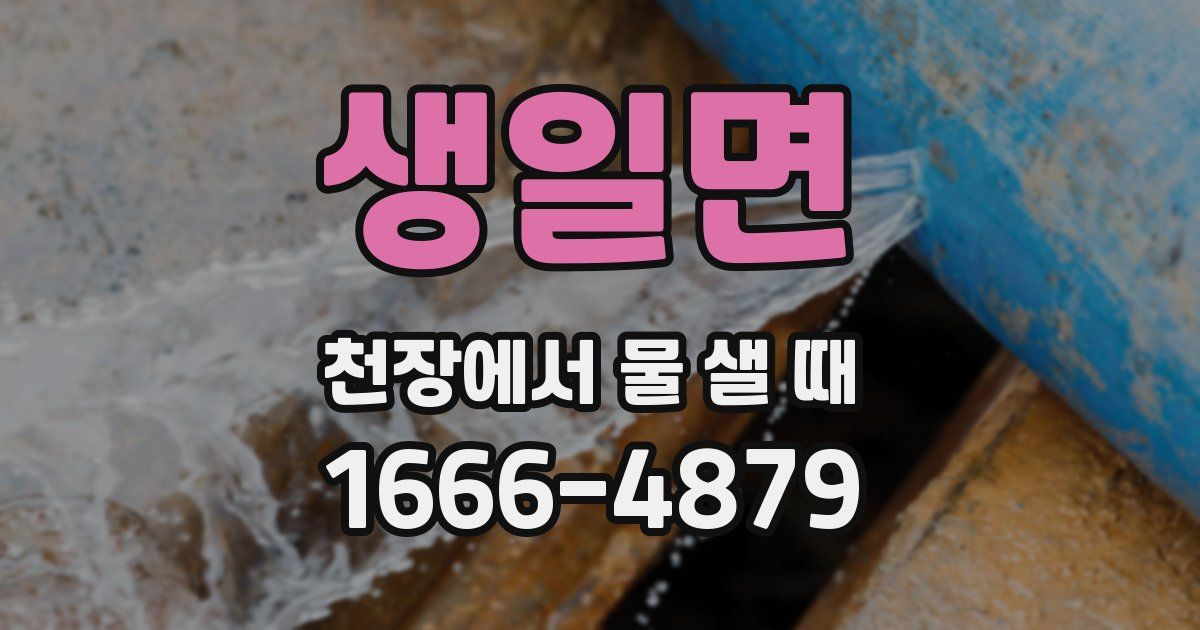 생일면 천장에서 물 샐 때