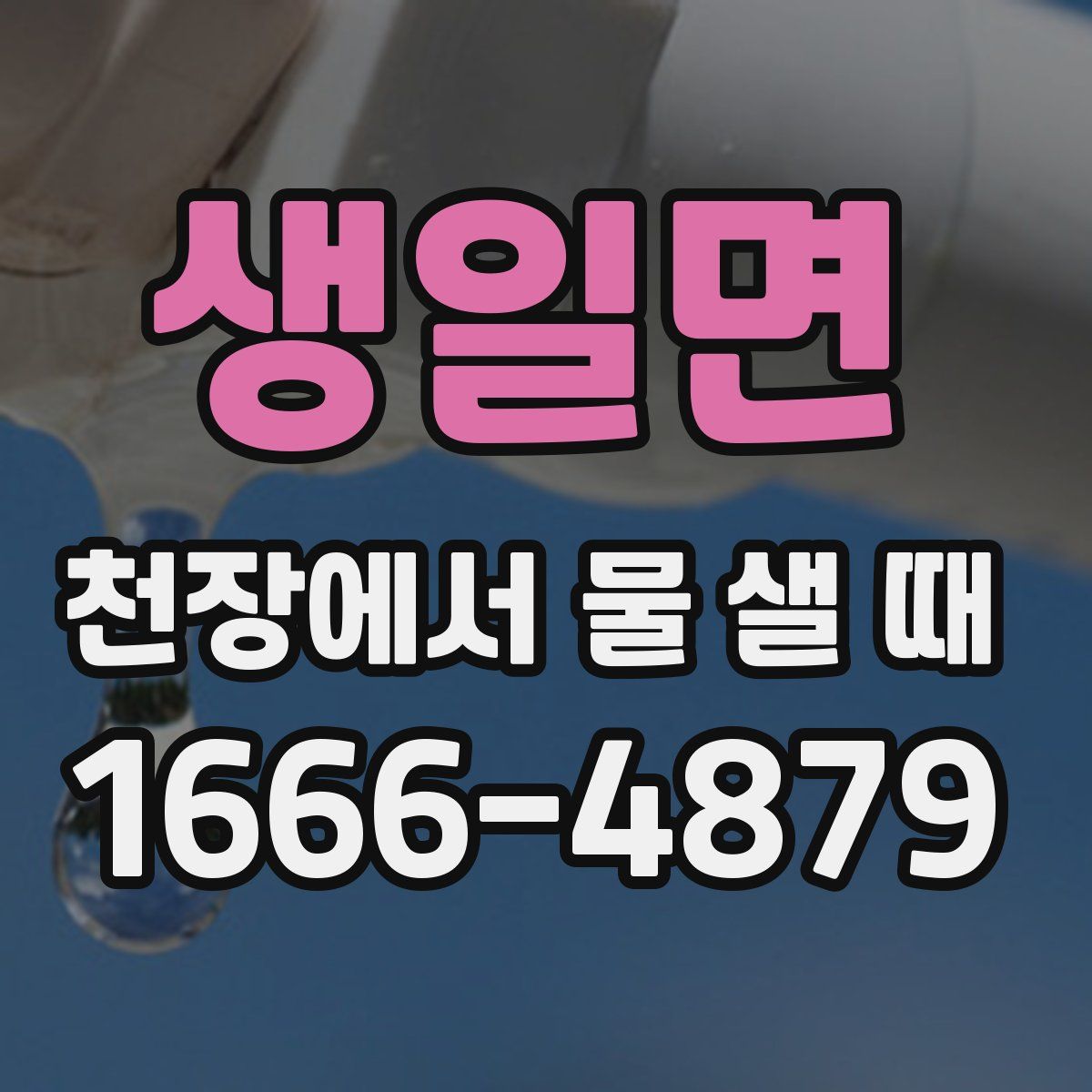 생일면 천장에서 물 샐 때