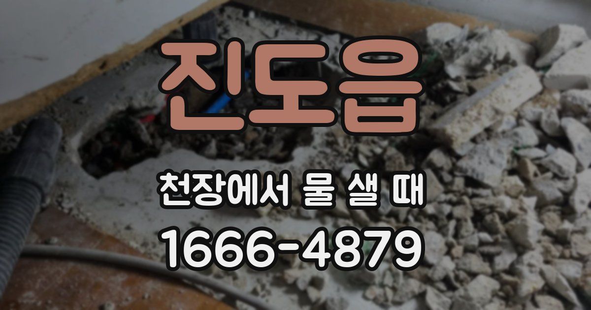 진도읍 천장에서 물 샐 때