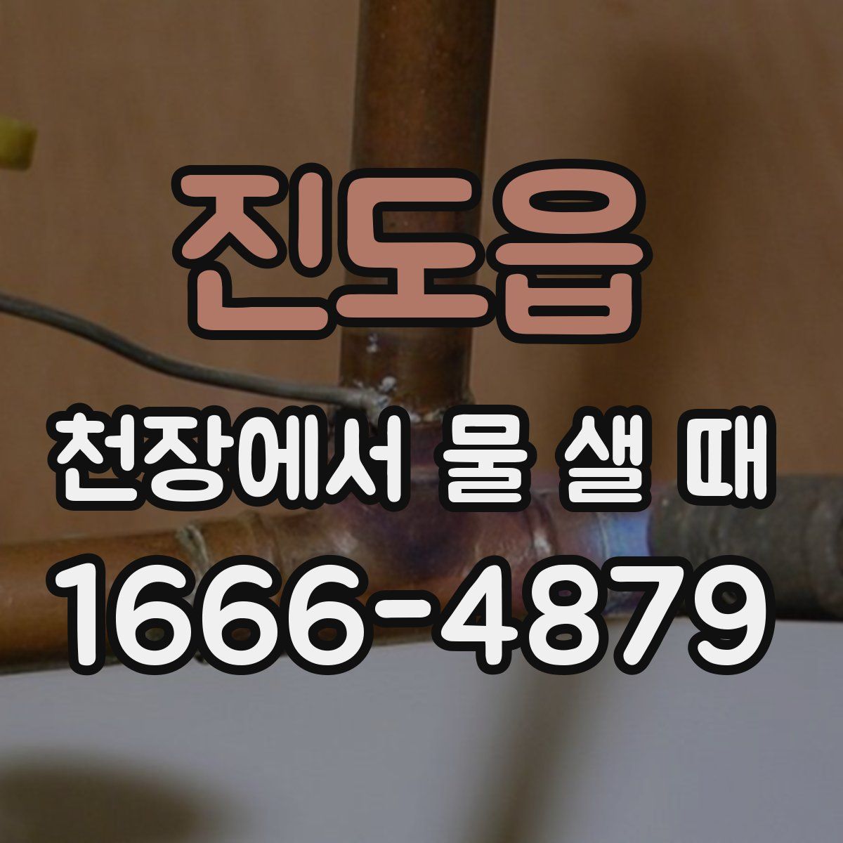 진도읍 천장에서 물 샐 때