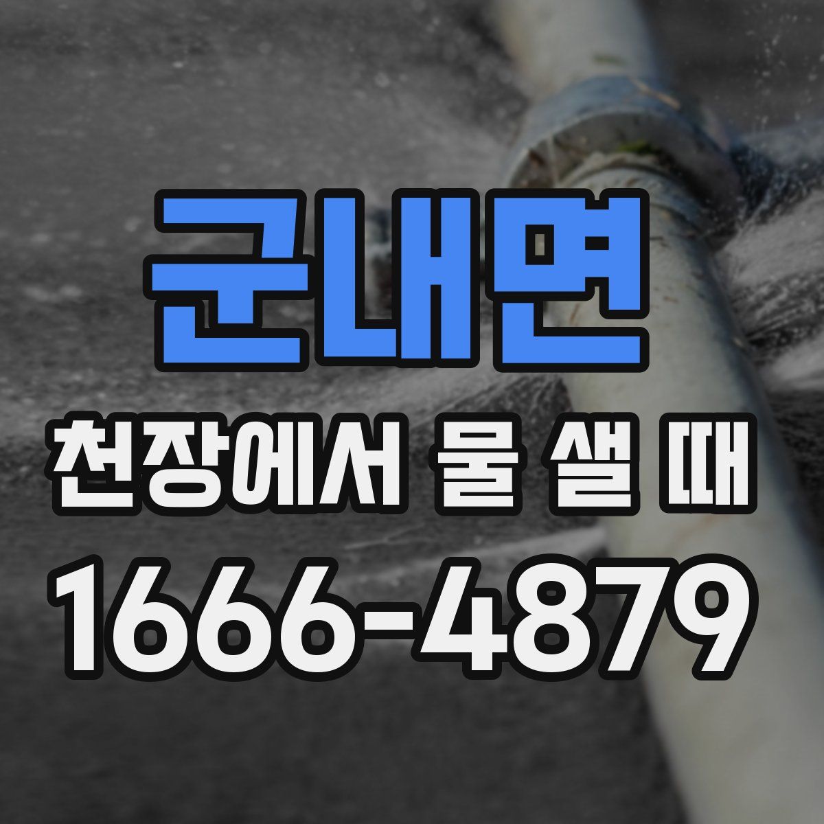 군내면 천장에서 물 샐 때