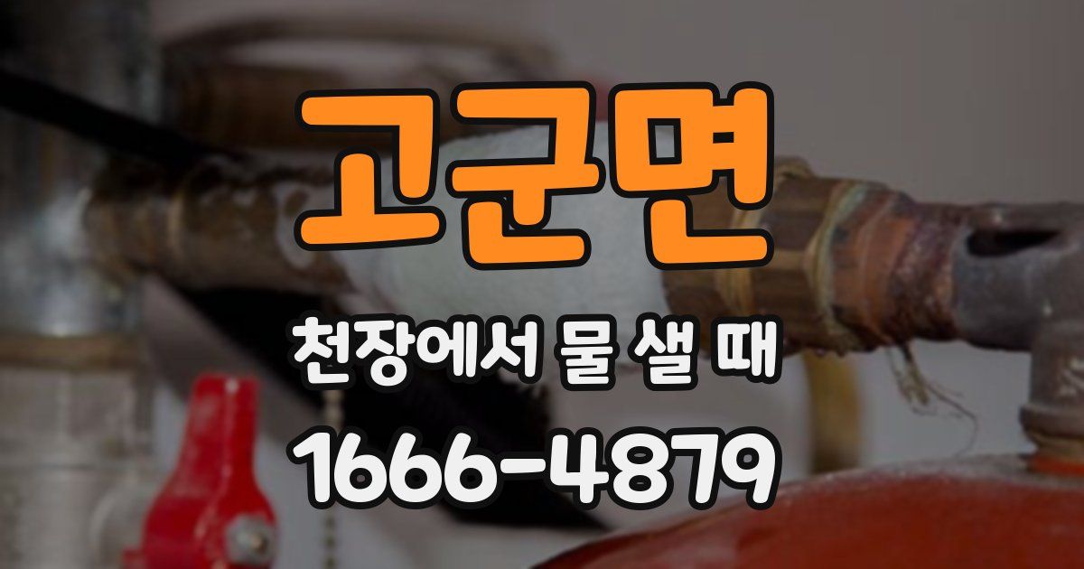 고군면 천장에서 물 샐 때
