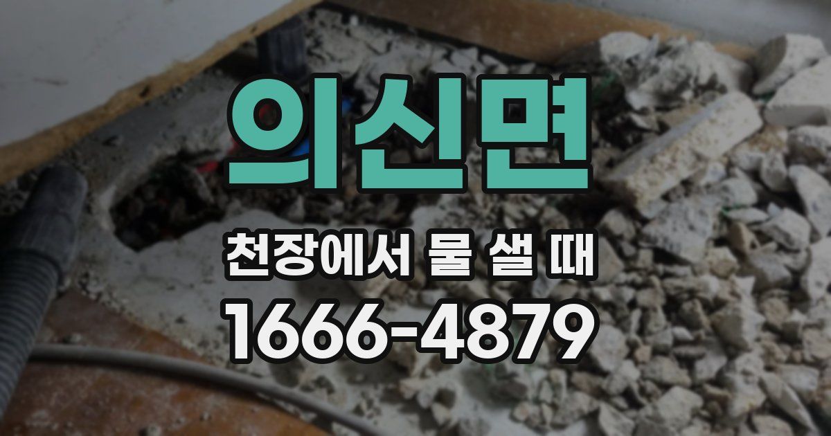 의신면 천장에서 물 샐 때