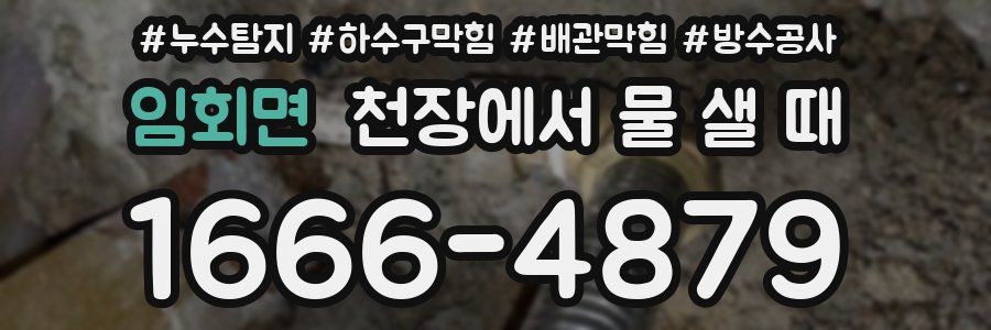 임회면 천장에서 물 샐 때