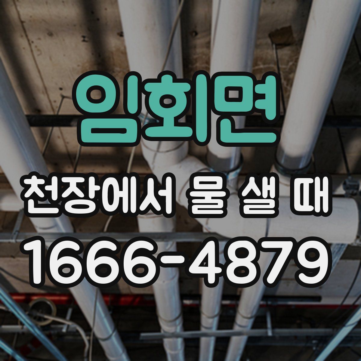 임회면 천장에서 물 샐 때