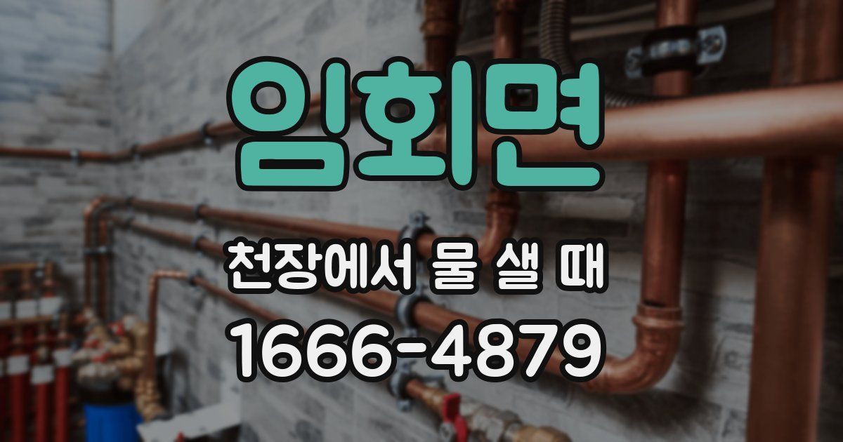 임회면 천장에서 물 샐 때