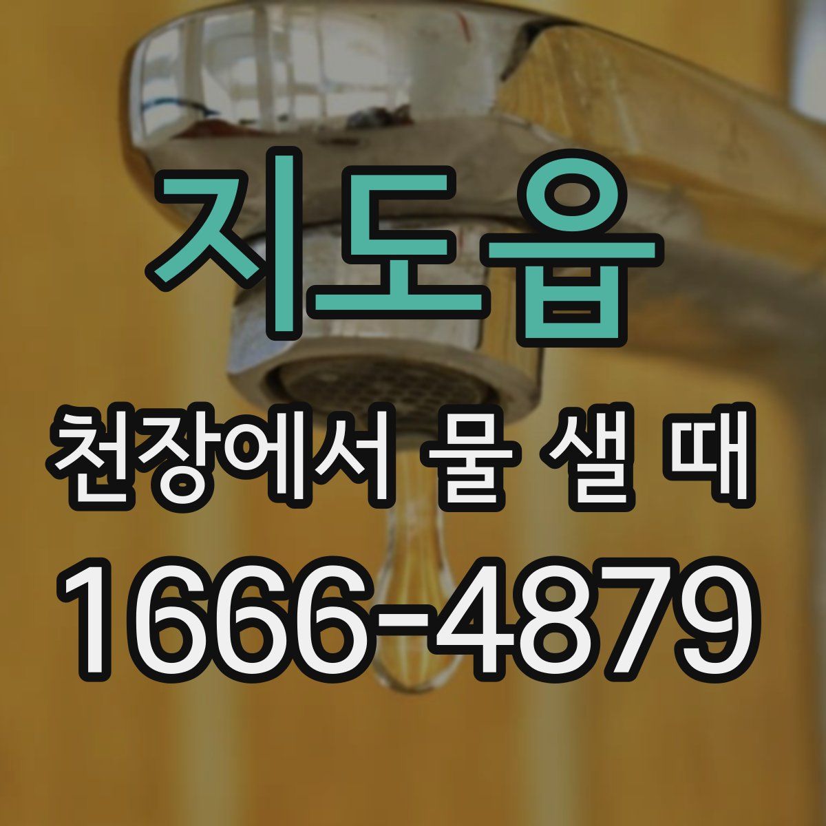 지도읍 천장에서 물 샐 때