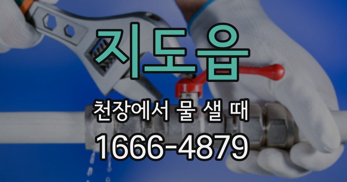 지도읍 천장에서 물 샐 때