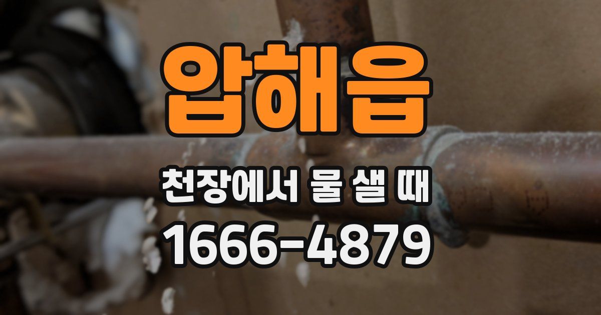 압해읍 천장에서 물 샐 때