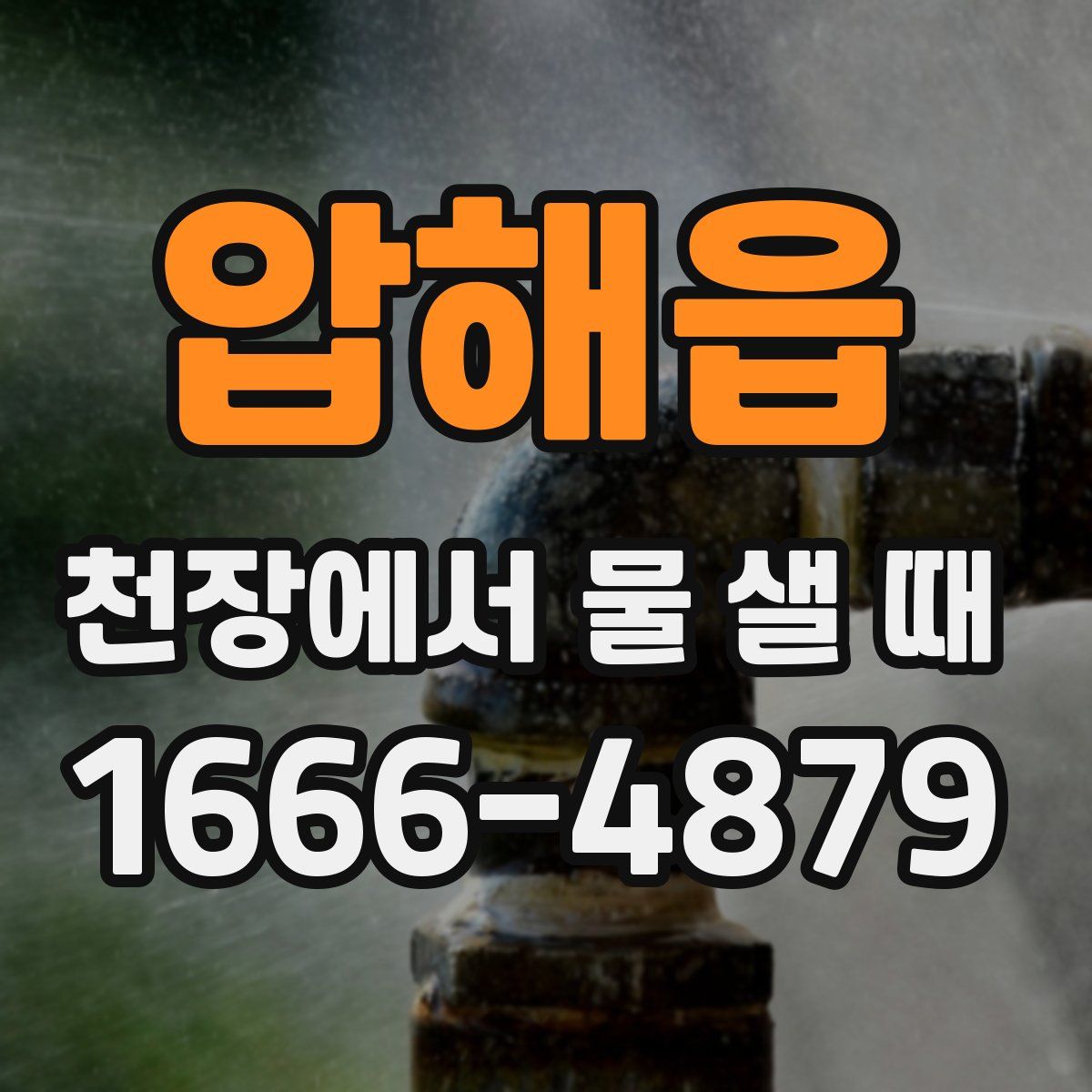 압해읍 천장에서 물 샐 때
