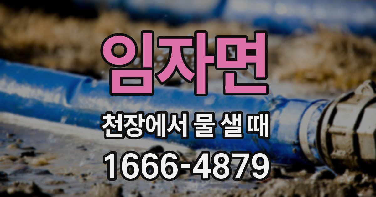 임자면 천장에서 물 샐 때