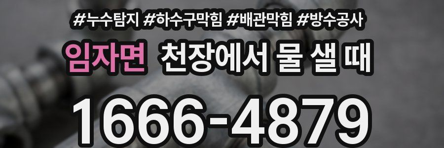 임자면 천장에서 물 샐 때