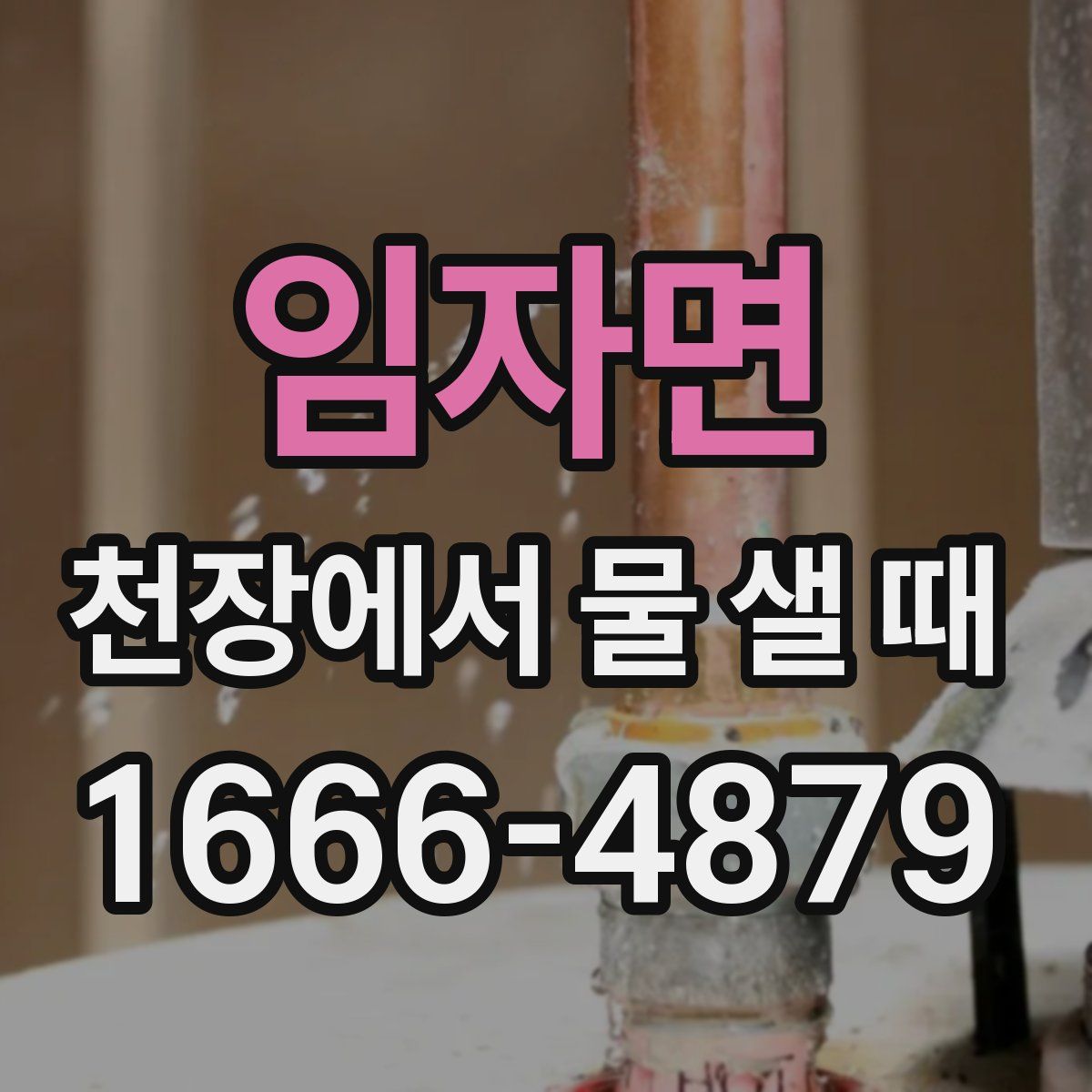 임자면 천장에서 물 샐 때