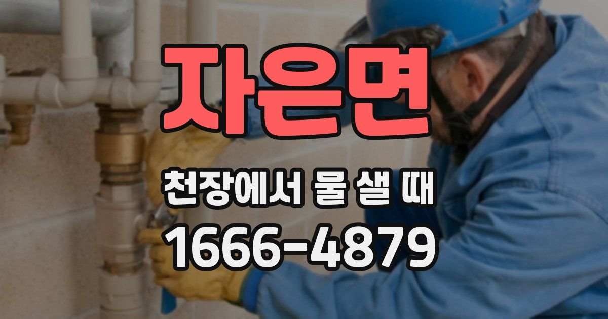 자은면 천장에서 물 샐 때