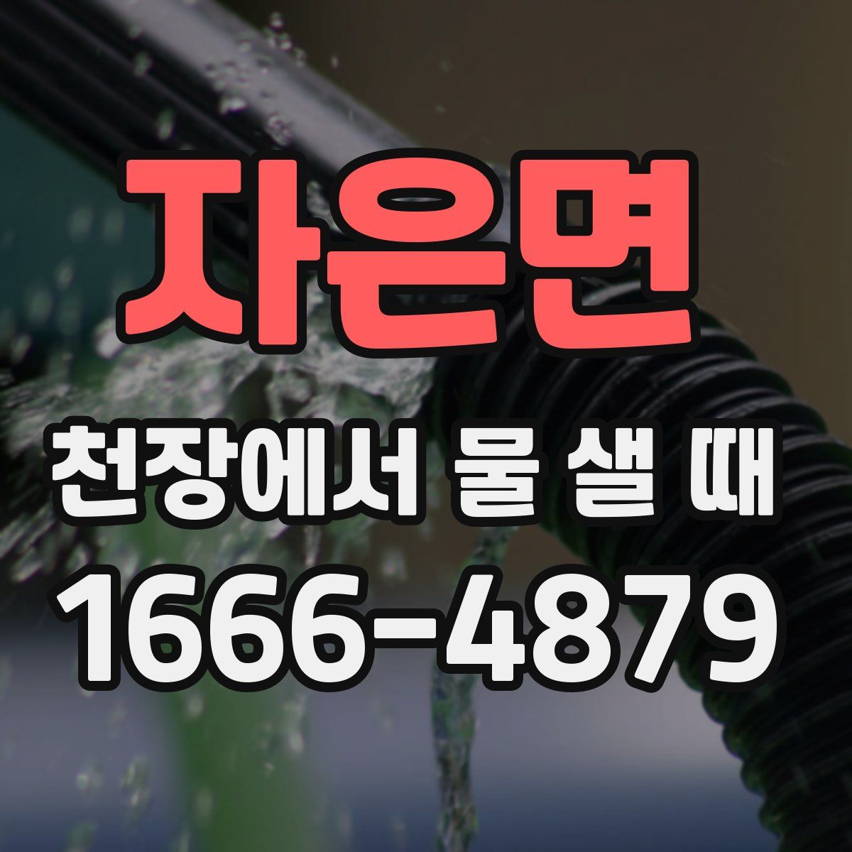 자은면 천장에서 물 샐 때