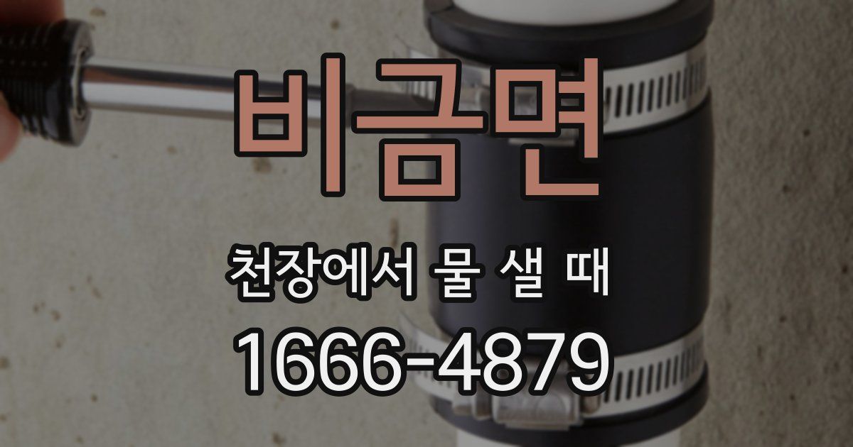 비금면 천장에서 물 샐 때