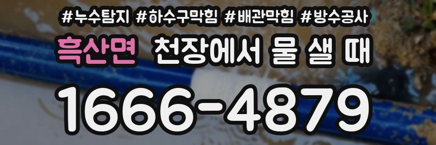 흑산면 천장에서 물 샐 때