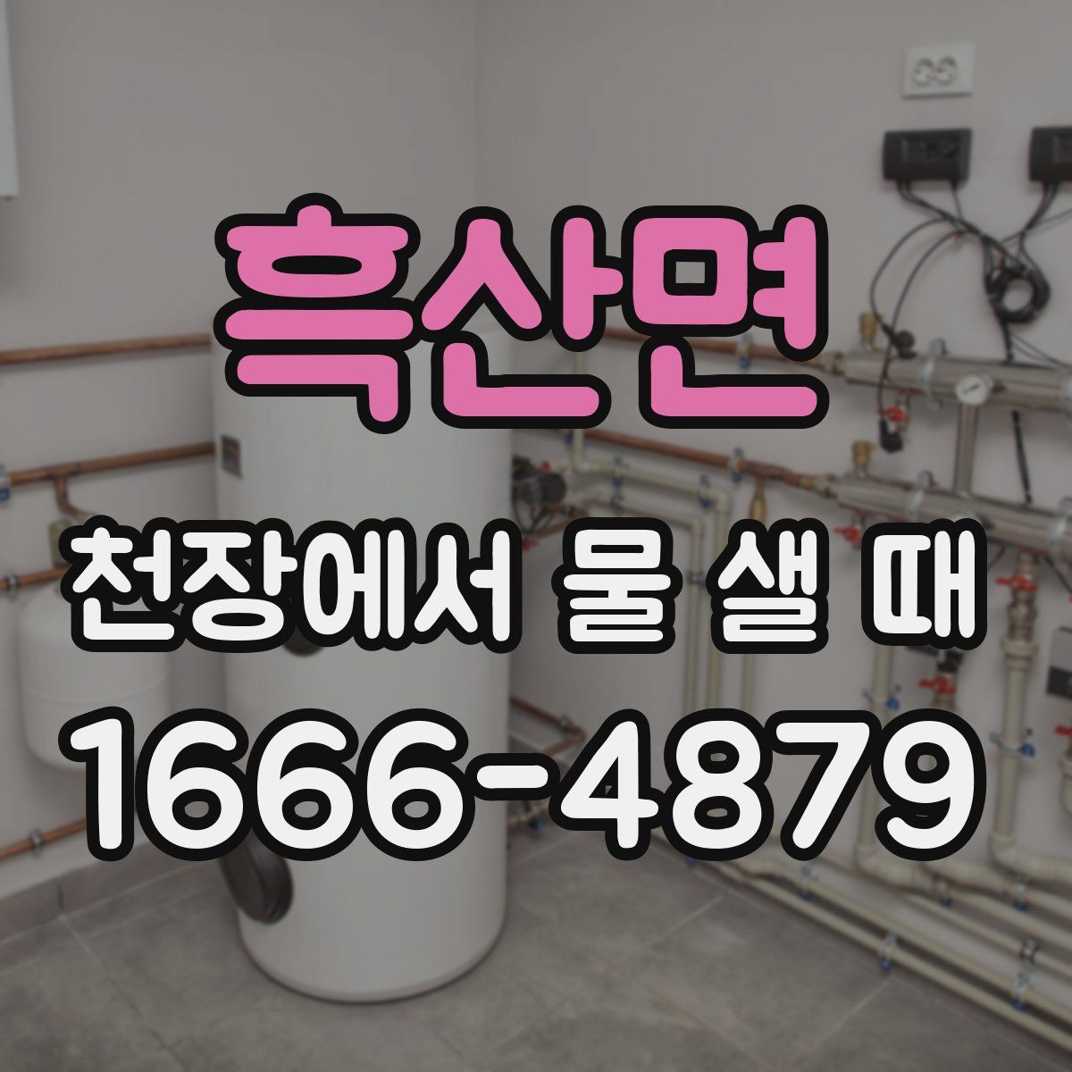 흑산면 천장에서 물 샐 때