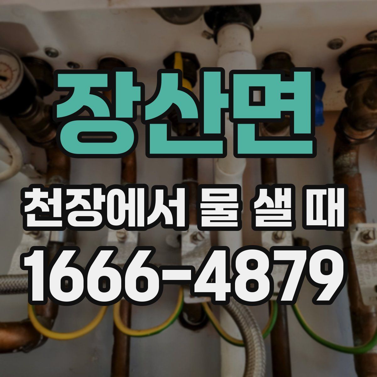 장산면 천장에서 물 샐 때