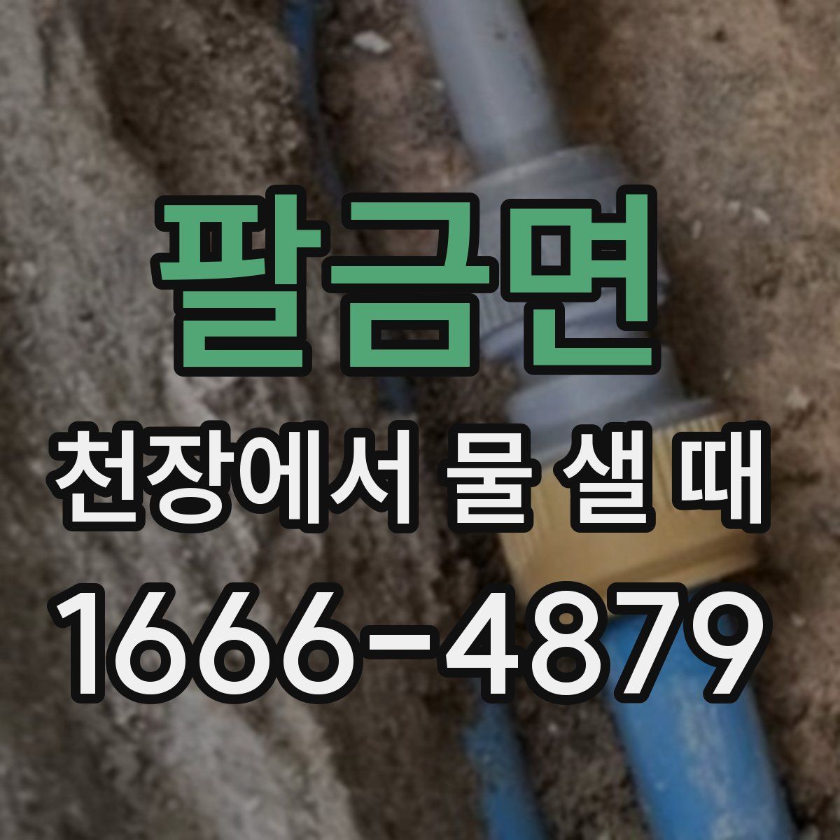팔금면 천장에서 물 샐 때