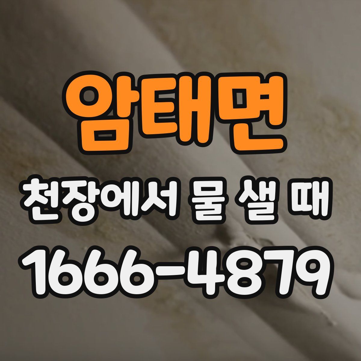 암태면 천장에서 물 샐 때