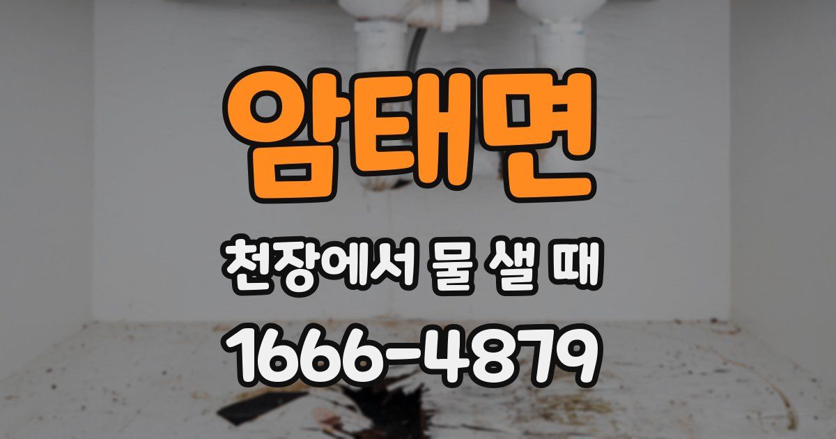 암태면 천장에서 물 샐 때