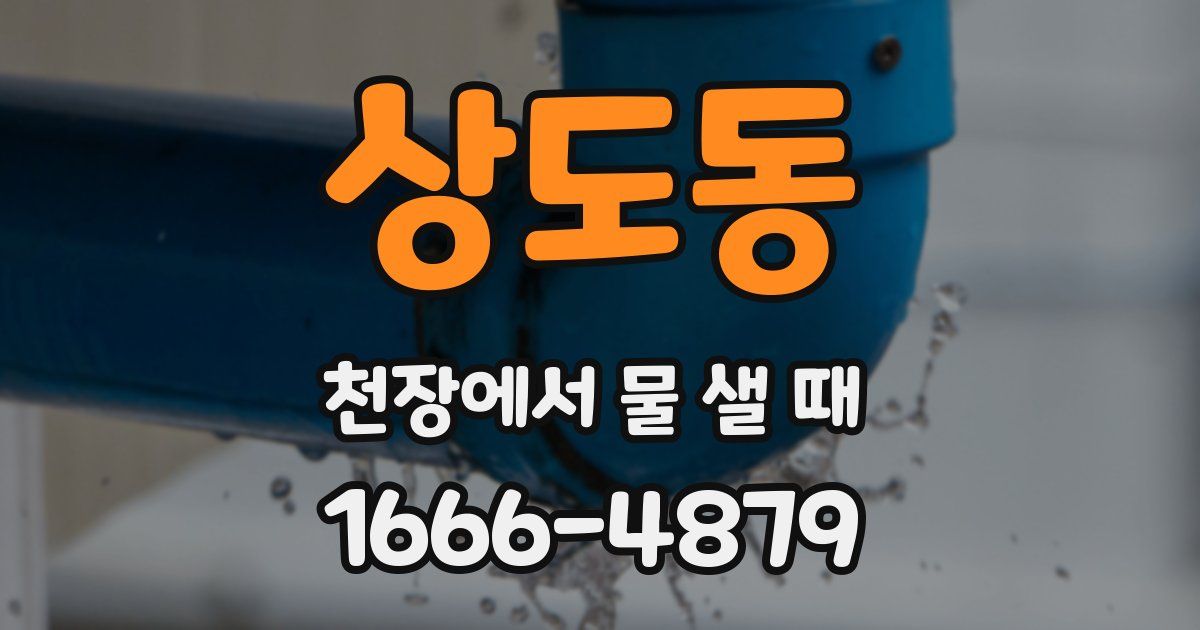 상도동 천장에서 물 샐 때