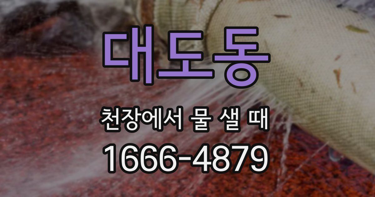 대도동 천장에서 물 샐 때