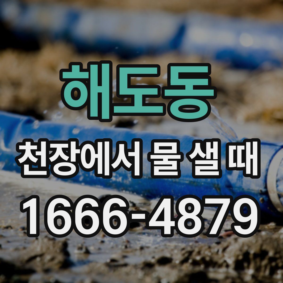 해도동 천장에서 물 샐 때