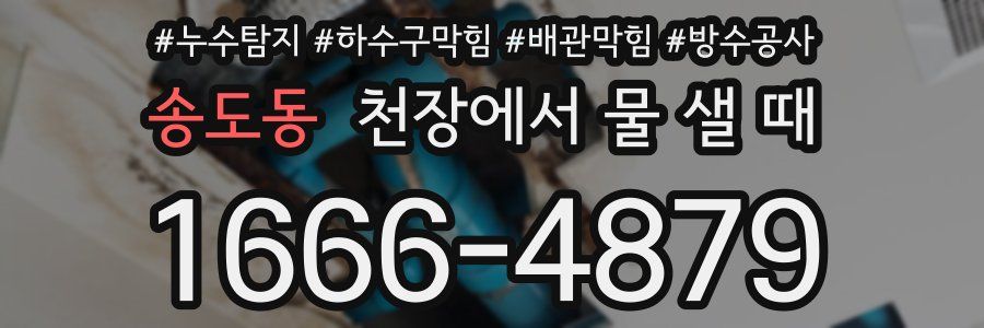송도동 천장에서 물 샐 때