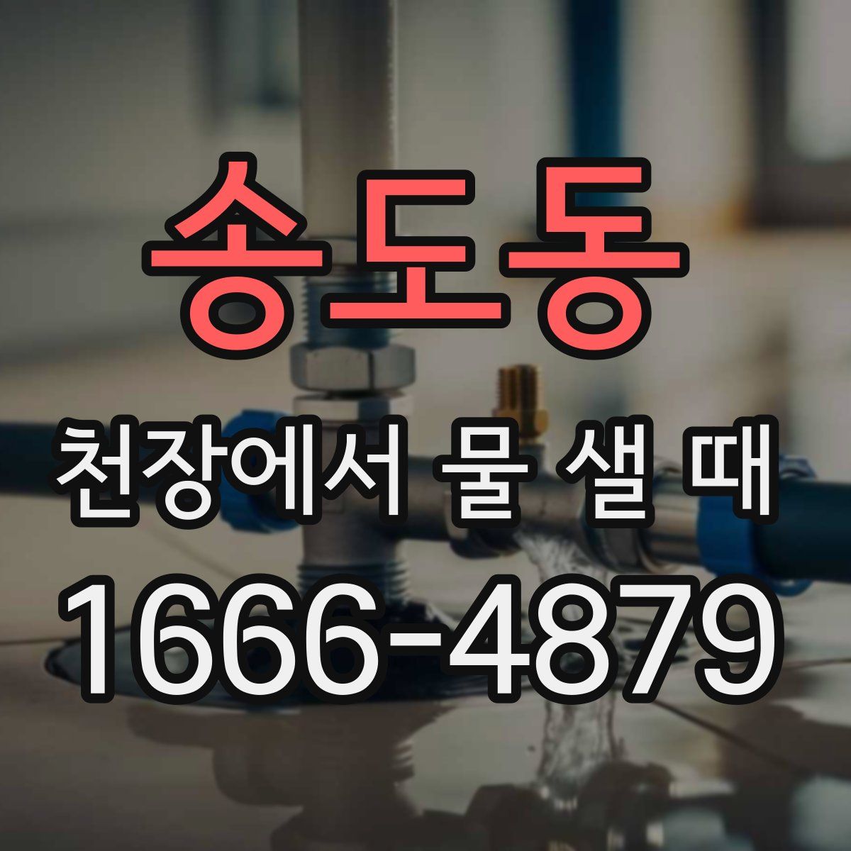 송도동 천장에서 물 샐 때