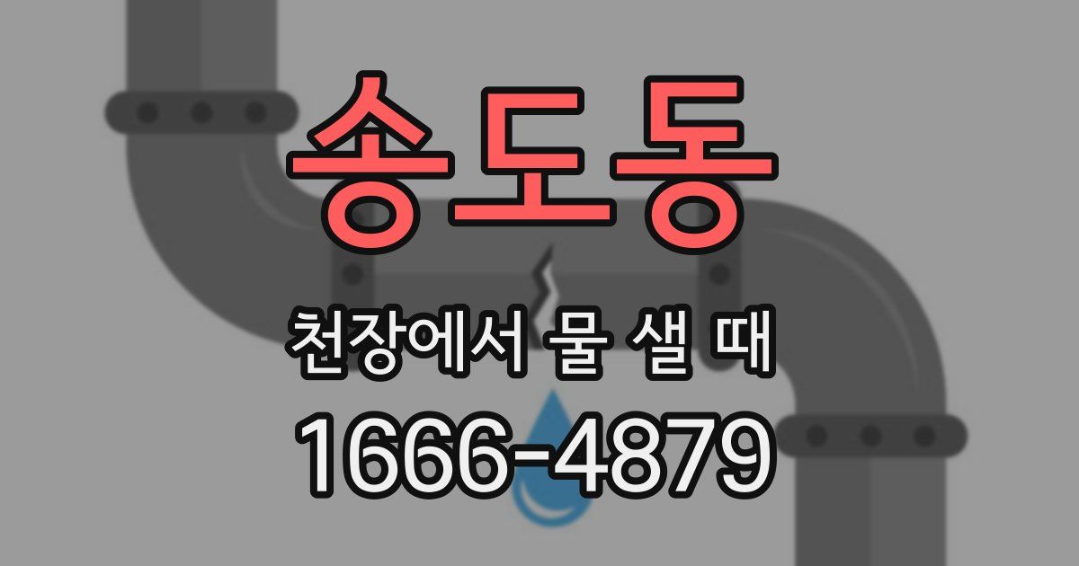 송도동 천장에서 물 샐 때