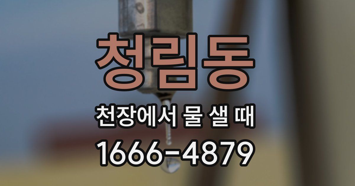 청림동 천장에서 물 샐 때