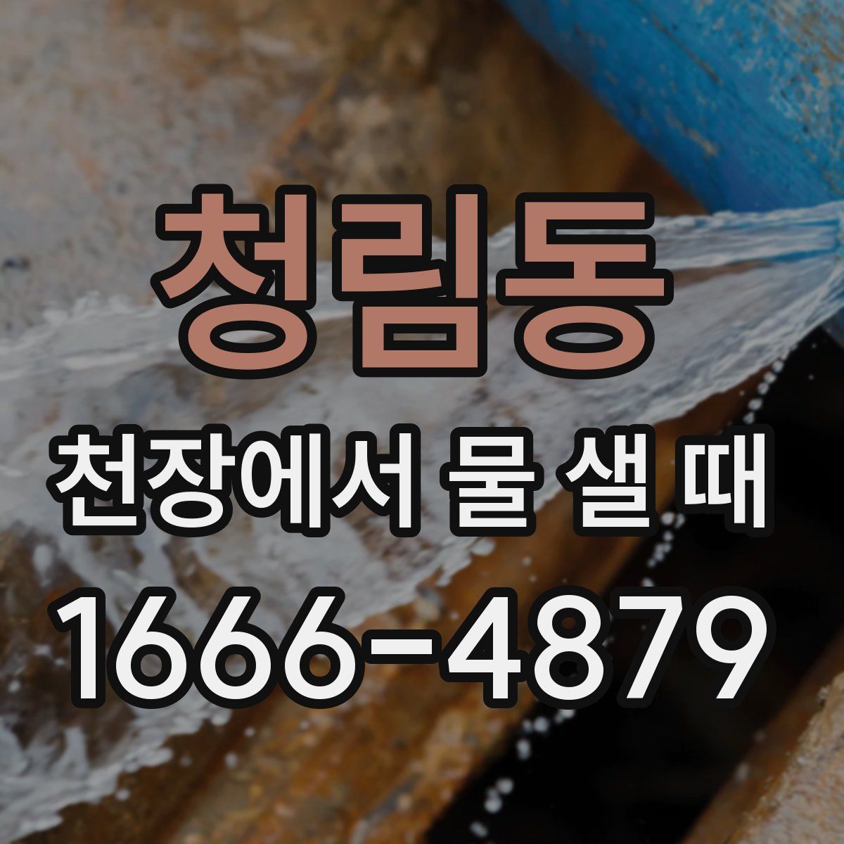 청림동 천장에서 물 샐 때