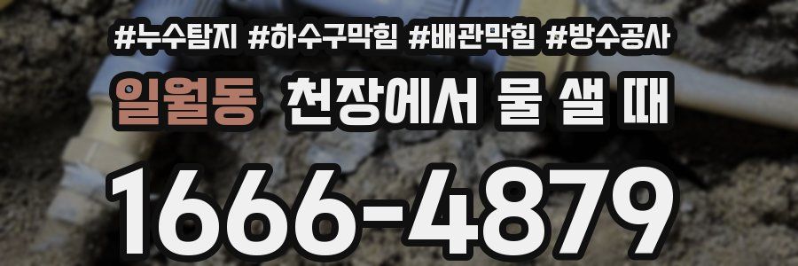 일월동 천장에서 물 샐 때